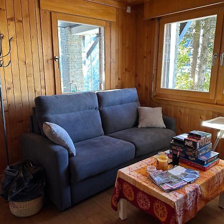 Chalet Edelweiss A Saint-Martin, Val D'Herens Dış mekan fotoğraf
