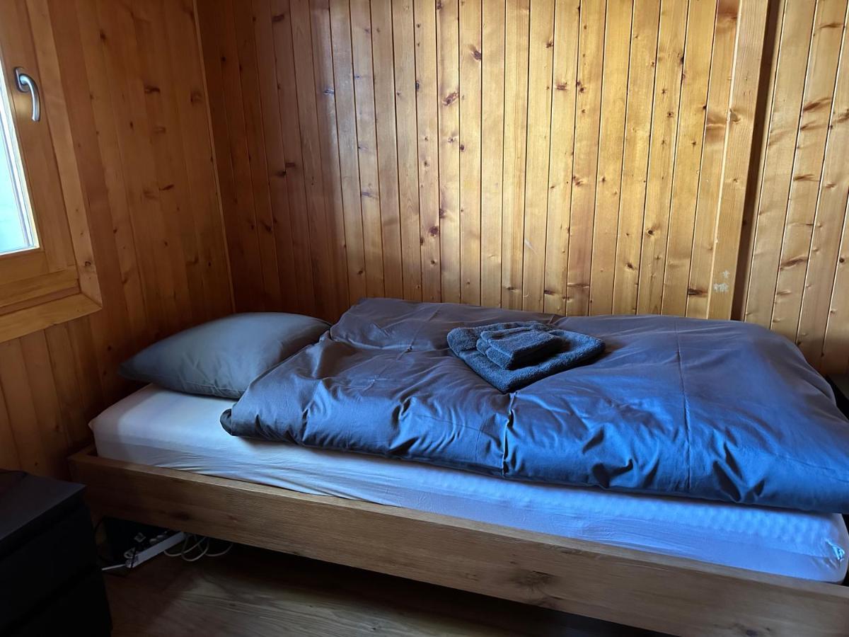 Chalet Edelweiss A Saint-Martin, Val D'Herens Dış mekan fotoğraf