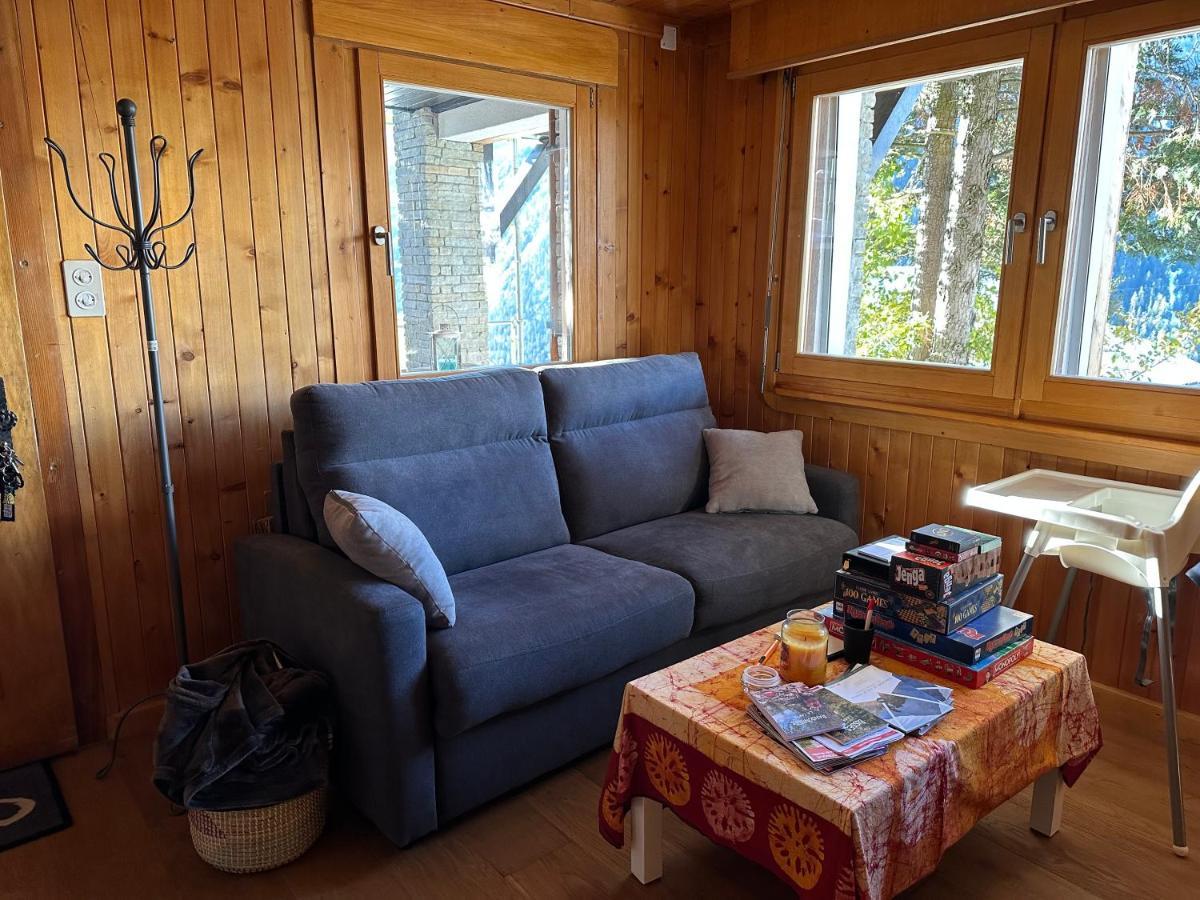 Chalet Edelweiss A Saint-Martin, Val D'Herens Dış mekan fotoğraf